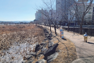 ‘저수지 연접’ 영천도서관 부지, 윗선 입김 있었나