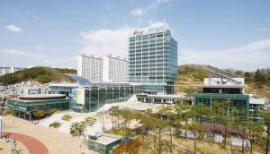 포항시 청렴도 바닥인데, 감사담당관 임용 연장(?)