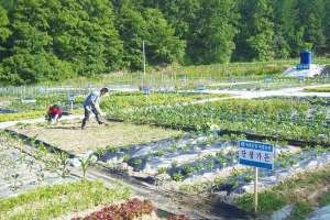 예천온천 주말농장 분양 신청·접수