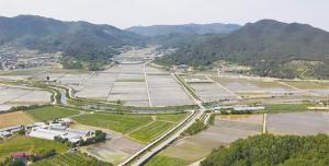 구미 농업, 규모화·조직화·스마트화 가속