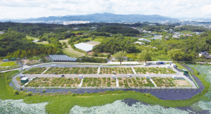 경산시, 도시농업 공영농장 개장