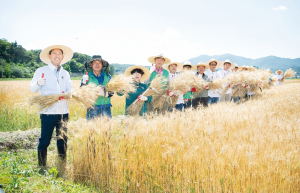 구미 우리밀 산업, 전방위 확장 나선다