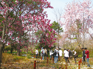 포항 기청산식물원 ‘전국 수목원 10선’ 선정