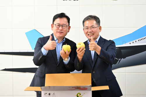 군위군, 빨간 사과 대신 ‘골든볼’…기후변화에 사과산업 판 바꾼다