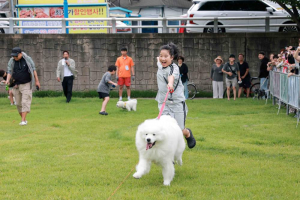 반려동물과 뛰놀며 배우는 생명존중…경북교육청 ‘생명사랑 인성교육캠프’